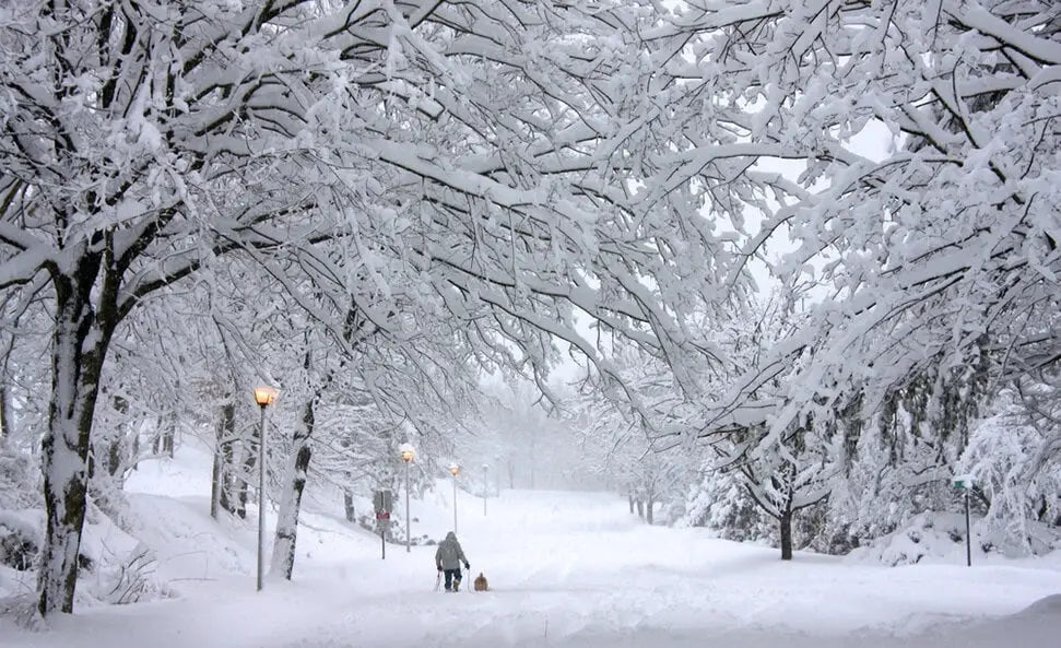 Comment se protéger du froid en hiver ? Image